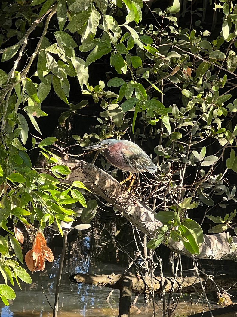 ¡Nueva! Villa Privada con Piscina en Canal