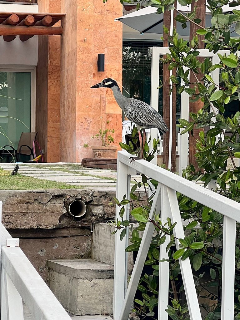 ¡Nueva! Villa Privada con Piscina en Canal